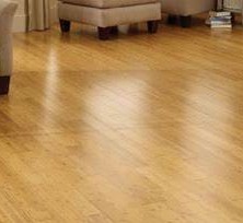 Bamboo flooring