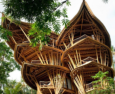 Bamboo house