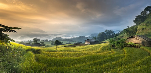 Rural farm