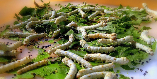 How many kinds of Silkworms?What is called Mulberry Silk fabric