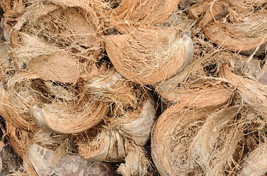 Coir - natural fiber from coconut husk