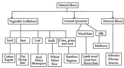 Synthetic Fibers vs Natural Fibers