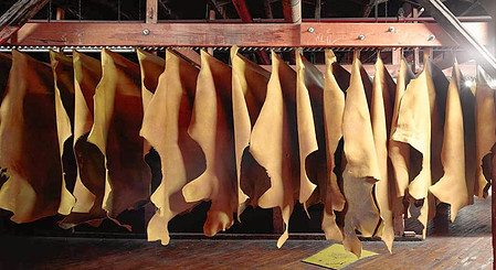 Leather drying