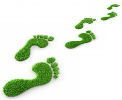 Reduce your carbon footprint