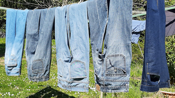 Sustainable jeans and levis 501