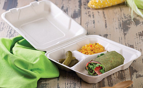 Biodegradable disposable food container