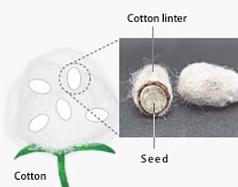 cotton linter is used for how is cupro made