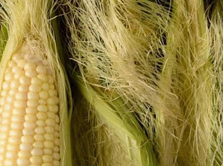 What Is Fabric Made With Corn?