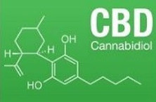 What is CBD and what is it good for